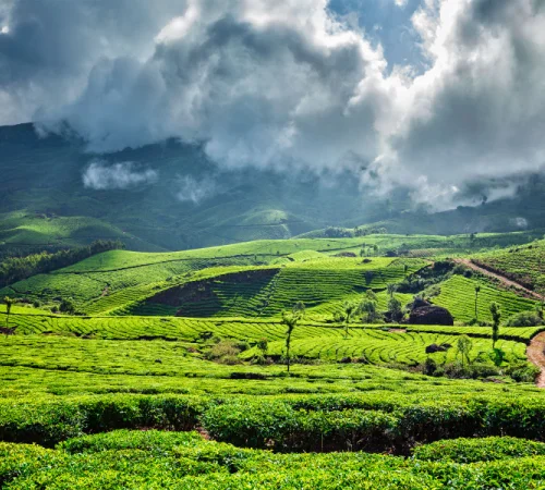 Discover Blissful Kerala